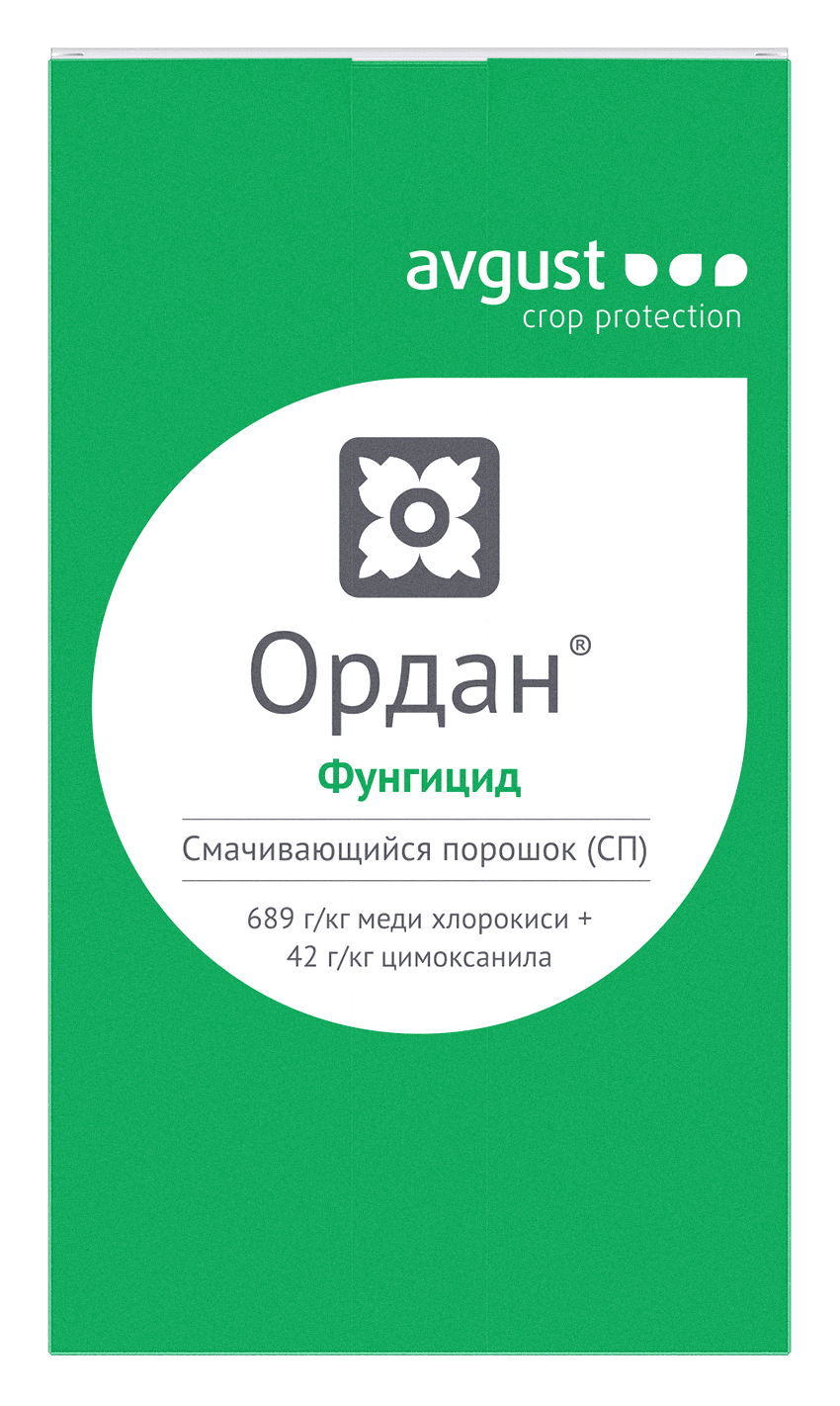 НордСтрим